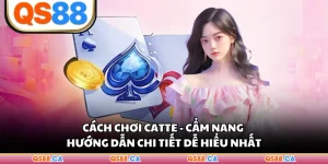 Cách Chơi Catte - Cẩm Nang Hướng Dẫn Chi Tiết Dễ Hiểu Nhất