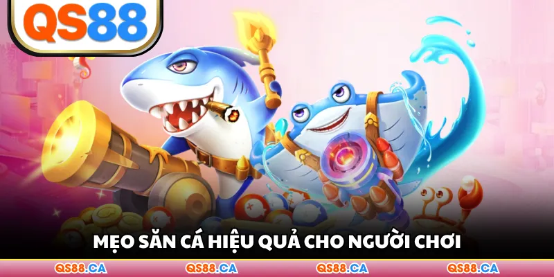 Mẹo săn cá hiệu quả cho người chơi